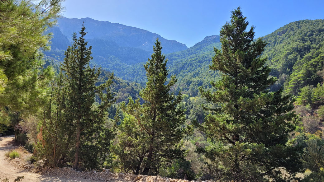 De weg naar Ágios Isídoros.