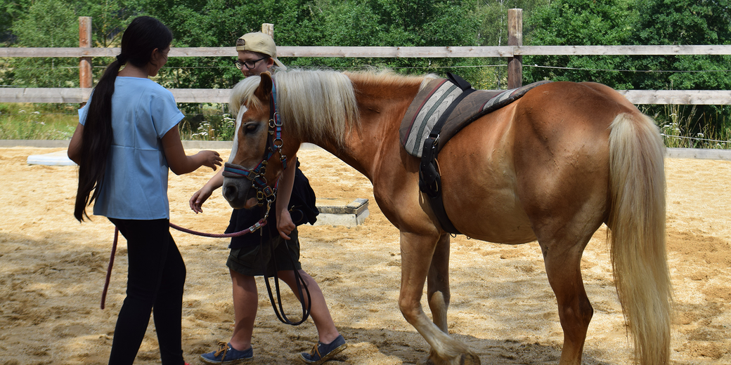 Jugendliche mit Pferd während tiergestützter Therapie