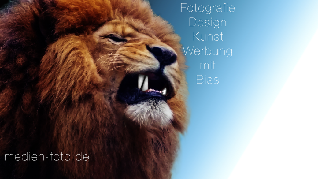 Fotografie, Werbung, Kunst und Design aus Leer mit Qualität und fairen Preisen - www.medien-foto.de - www.leer-werbung.de - Kreatives Unternehmen aus Leer