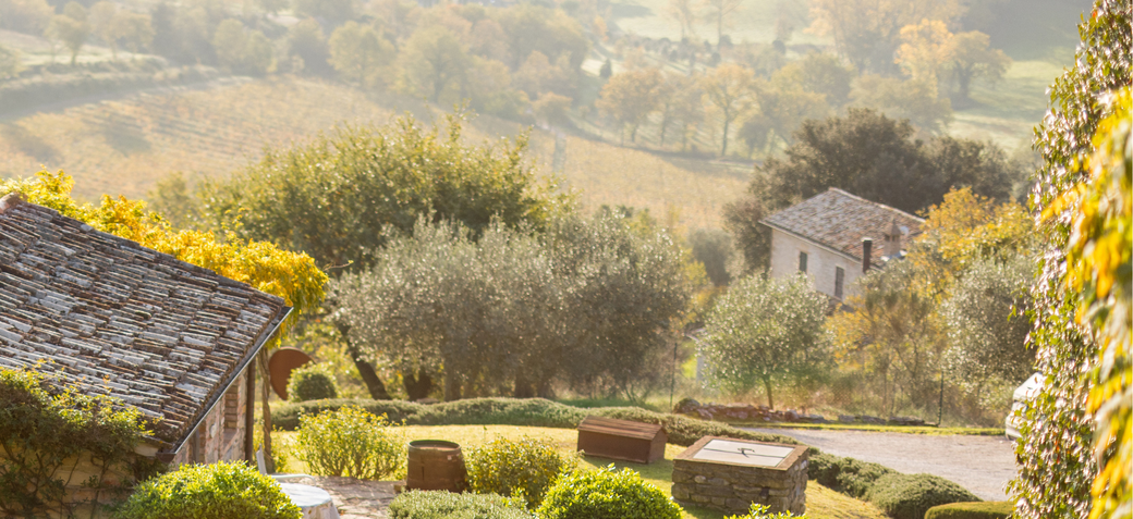 Gorgeous countryside setting for your own private yoga retreat 