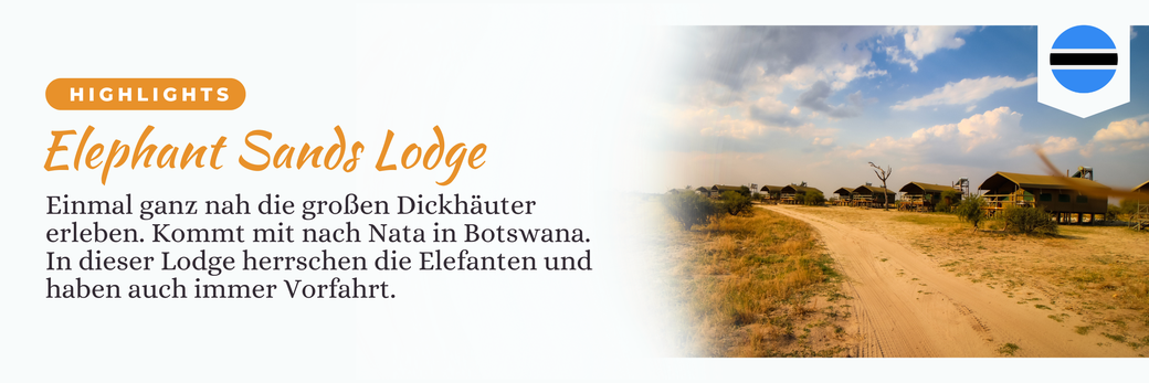 Botswana Reise Blog