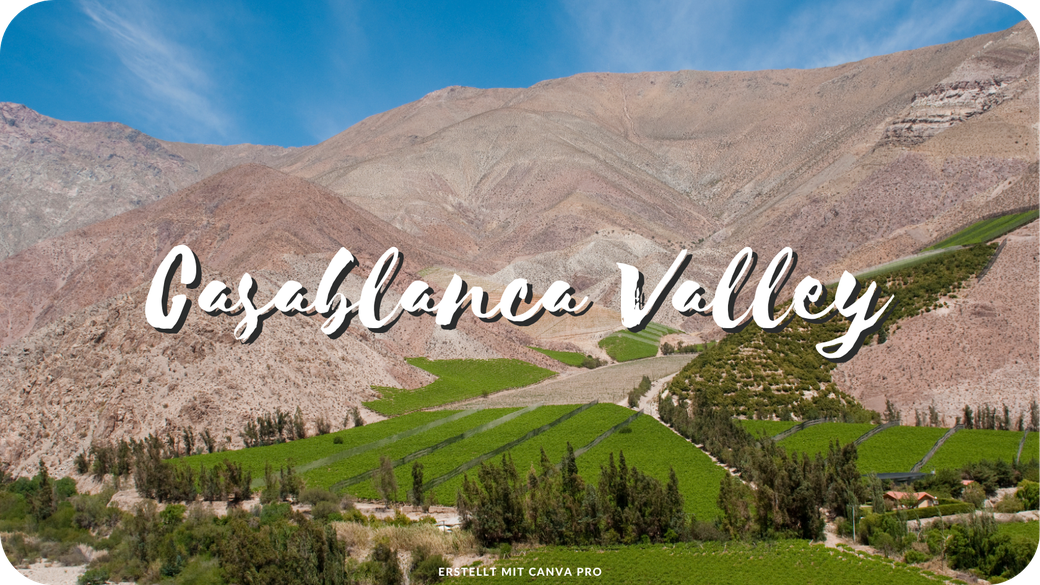 Chile Must See Highlights Sehenswürdigkeiten