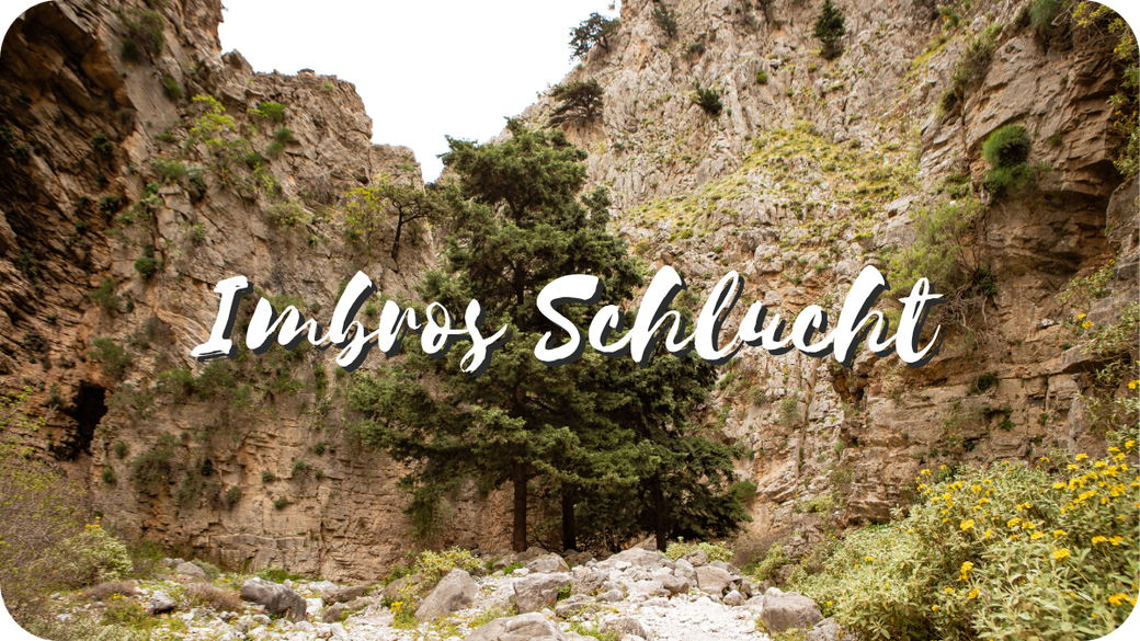 Sehenswürdigkeiten Highlights Kreta Reise