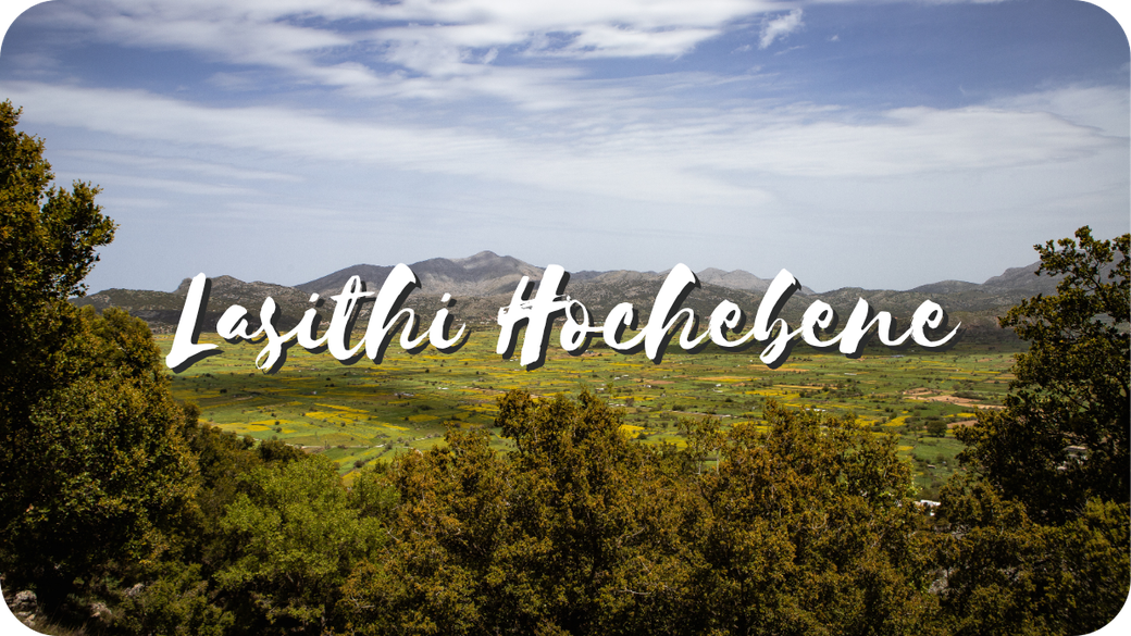 Sehenswürdigkeiten Highlights Kreta Reise