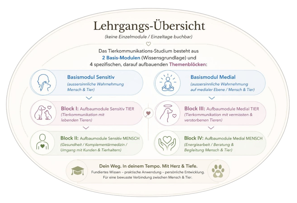 Modulaufbau BVTKS-Studium / Lehrgang "Holistische Tierkommunikation & Medialität"