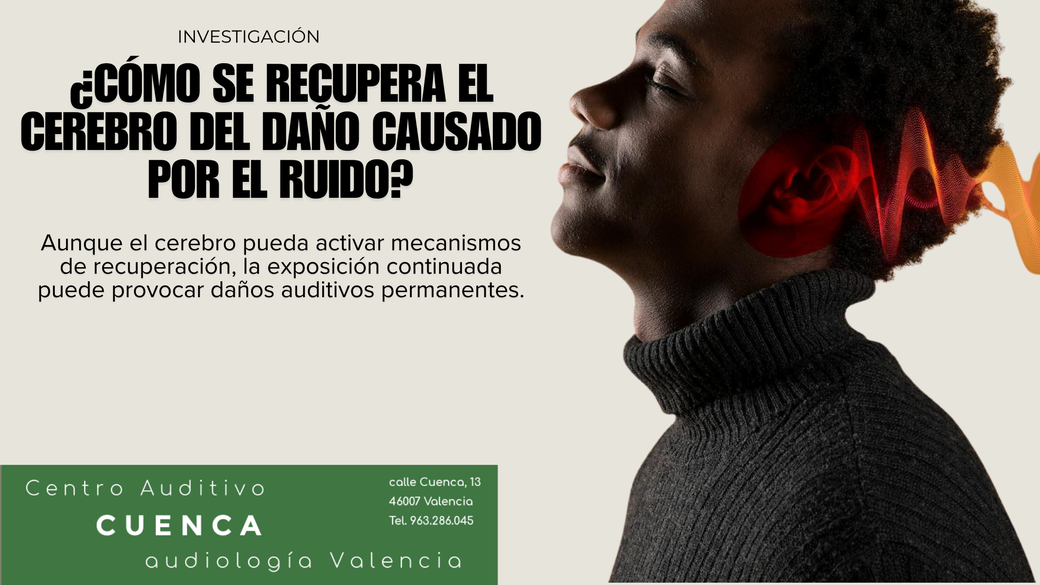 Recuperación del sistema auditivo por daño causado por ruido. Investigación.