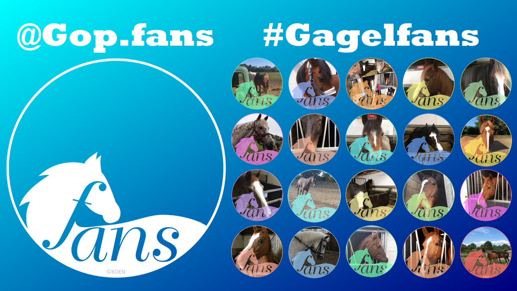 Manege de Gagel - Fans - #Gagelfans