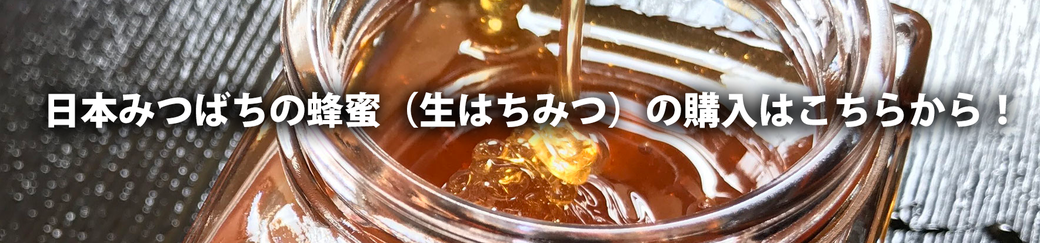 日本みつばちの蜂蜜（生はちみつ）の購入はこちらから！│埼玉県加須市の加藤養蜂園