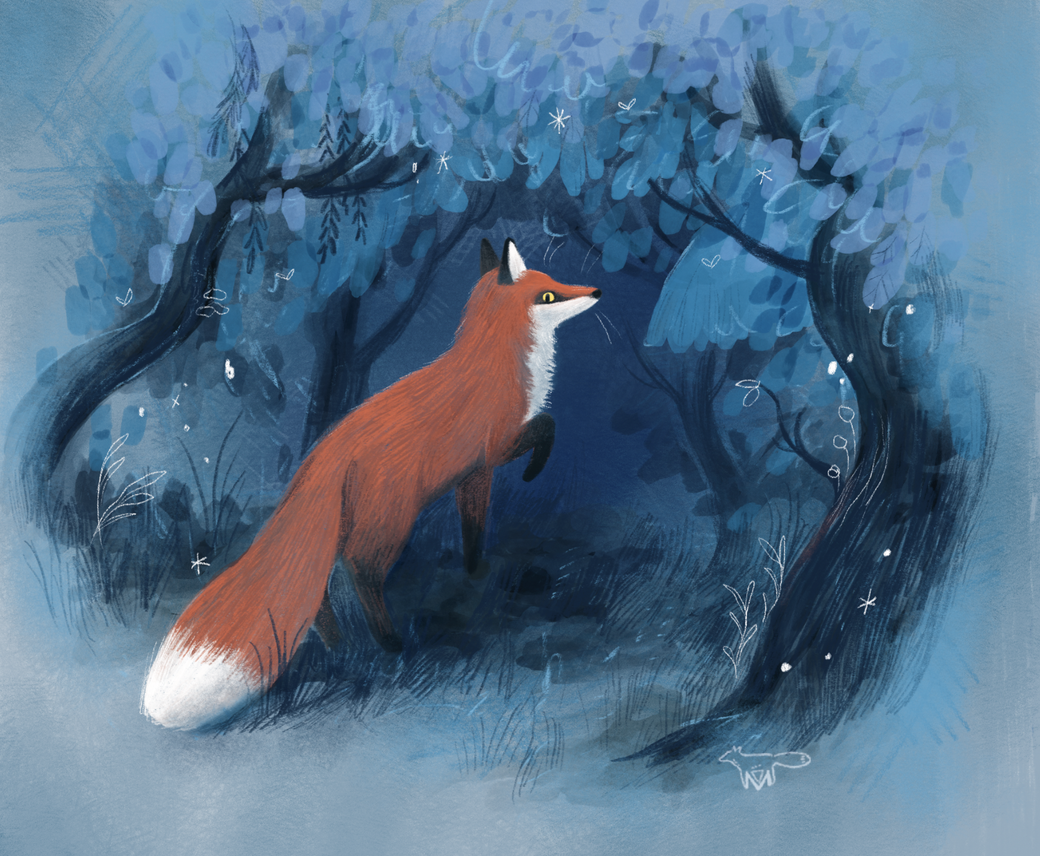 Fuchs Fox Night Friendship Nature Forest Dark Naturelove