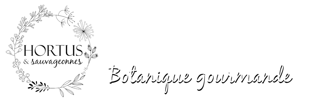 Production de plantes aromatiques, Lille