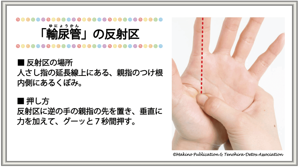 反射区の場所：人さし指の延長線上にある、親指のつけ根内側にあるくぼみ・押し方：反射区に逆の手の親指の先を置き、垂直に力を加えて、グーッと7秒間押す。
