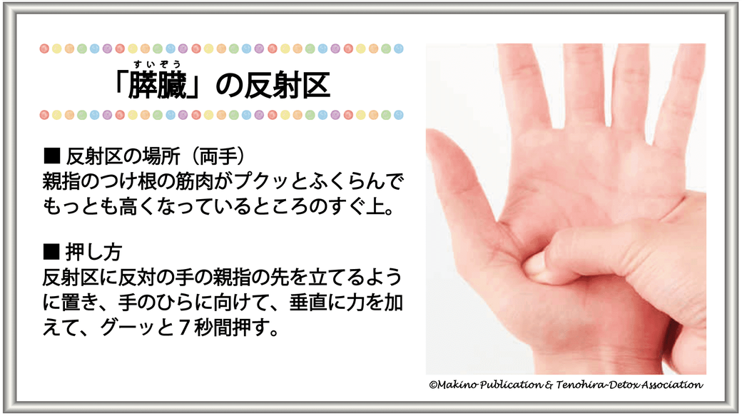 「すい臓の反射区」反射区の場所（両手）：親指のつけ根の筋肉がプクッとふくらんでもっとも高くなっているところのすぐ上・押し方：反射区に反対の手の親指の先を立てるように置き、手のひらに向けて、垂直に力を加えて、グーッと7秒間押す。