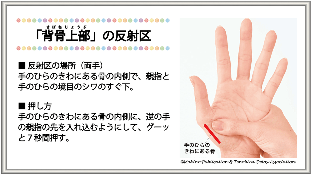 「背骨上部」の反射区・反射区の場所：手のひらのきわにある骨の内側で、親指と手のひらの境目のシワのすぐ下・反射区の押し方：手のひらのきわにある骨の内側に、逆の手の親指の先を入れ込むようして、グーッと7秒間押す。