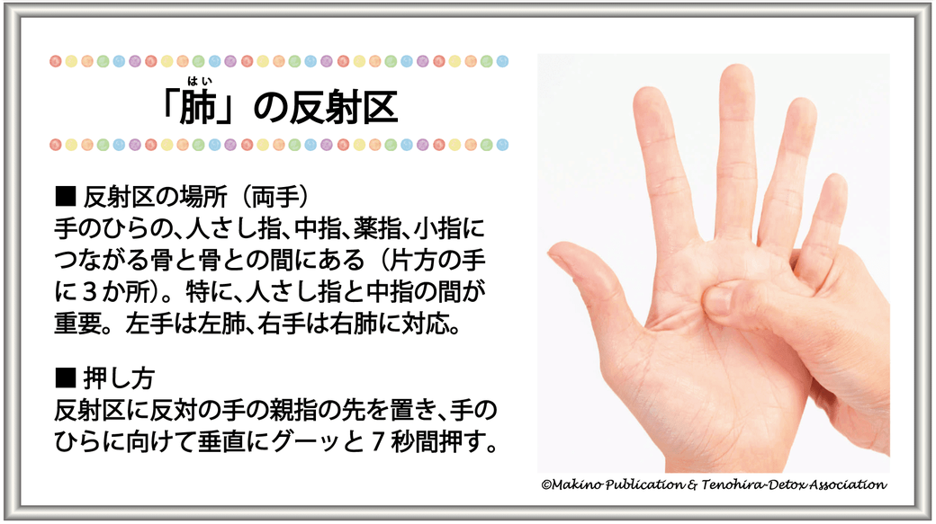 「肺の反射区」反射区の場所（両手）：手のひらの､人さし指､中指､薬指､小指につながる骨と骨との間にある（片方の手に３か所）。特に､人さし指と中指の間が重要。左手は左肺､右手は右肺に対応。・押し方：反射区に、反対の手の親指の先を置き､手のひらに向けて垂直にグーッと7秒間押す。