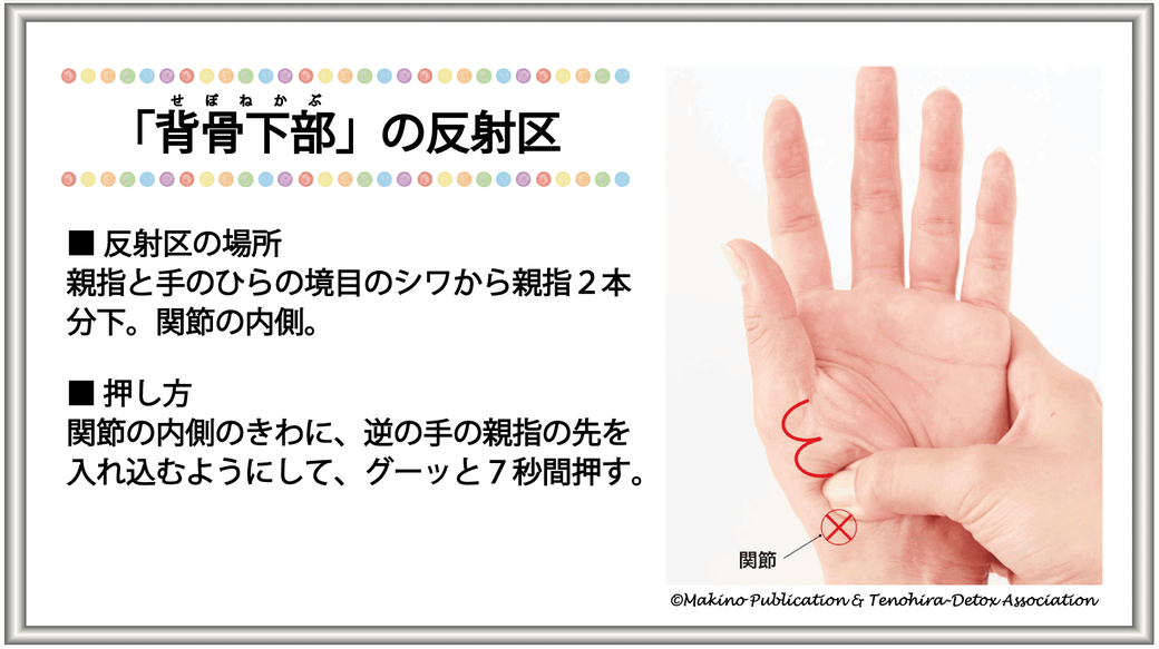 「背骨・下部の反射区」・【反射区の場所（両手）】：親指と手のひらの境目のシワから親指2本分下。関節の内側・【反射区の押し方】：関節の内側のきわに、反対の手の親指の先を入れ込むようにして、グーッと7秒間押す。