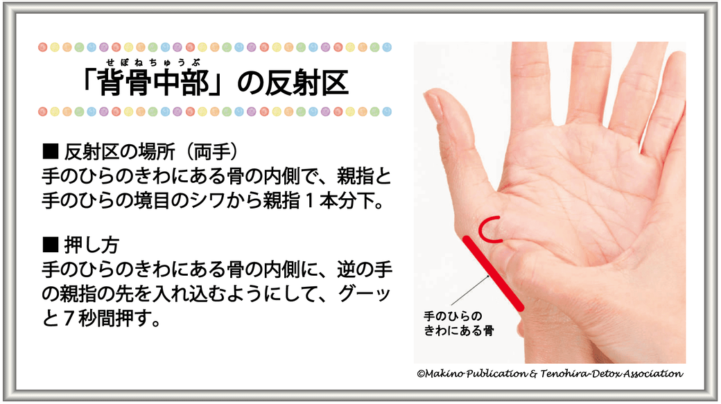 「背骨・中部の反射区」・【反射区の場所（両手）】：手のひらのきわにある骨の内側で、親指と手のひらの境目のシワから親指1本分下・【反射区の押し方】：手のひらのきわにある骨の内側に、反対の手の親指の先を入れ込むようにして、グーッと7秒間押す。