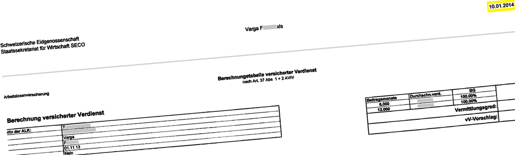 Netzbuch        gestravt        RAV-Fehler     ALV-Fehler      Kieser       Behördenpfusch        Netzbuch      M. A. Rionette Kieser        Diplomarbeitsstoff