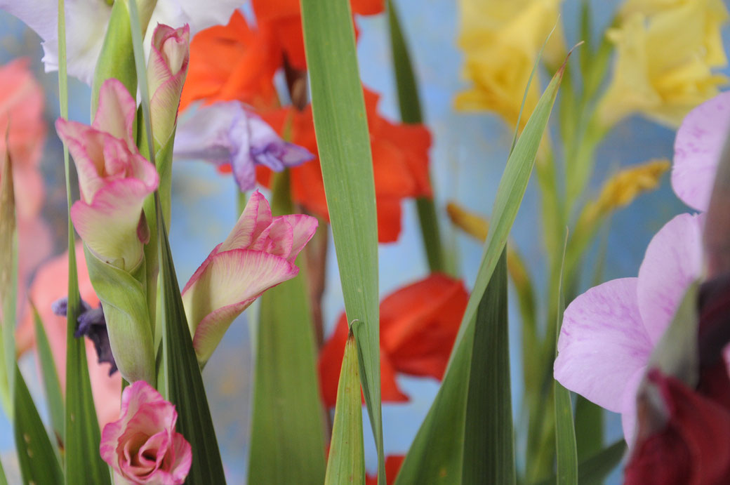 Flower Power, Foto: Susanne Hauenstein / copyright: VG Bildkunst, Bonn