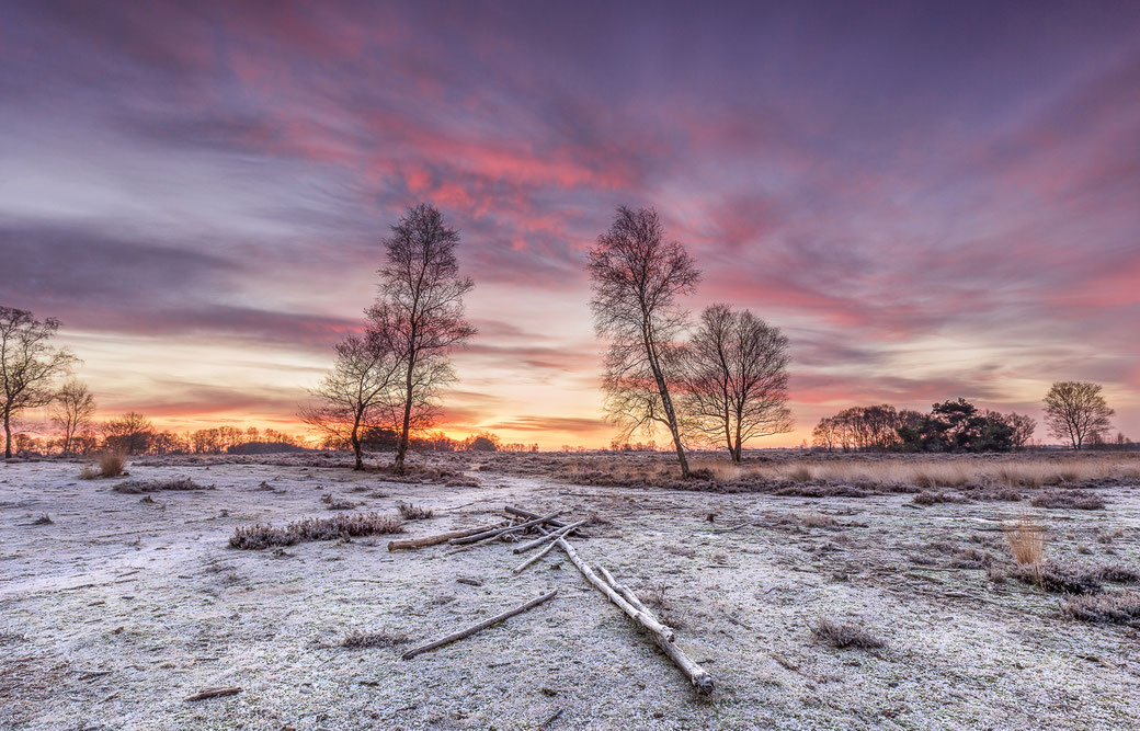 Zonsopkomst Balloërveld in Drenthe