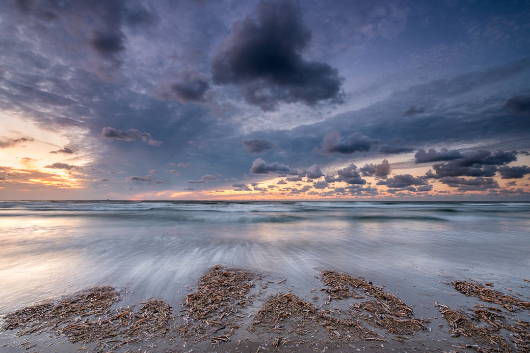 Shells, Noordzeestrand Terschelling ©Jurjen Veerman