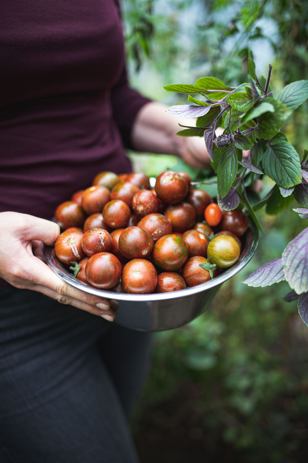 In diesen Tomaten steckt ein ganzer Sommer