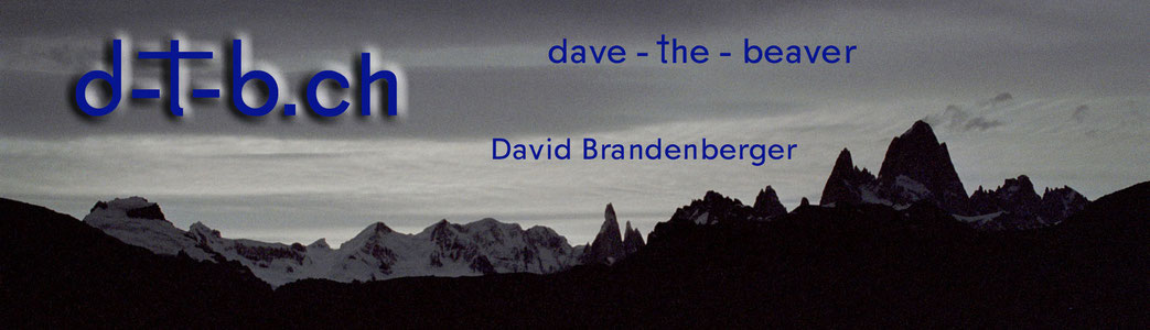 David Brandenberger d-t-b.ch