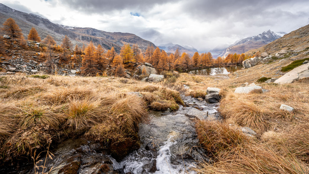 Surreale Atmosphäre am Grindjisee im Herbst