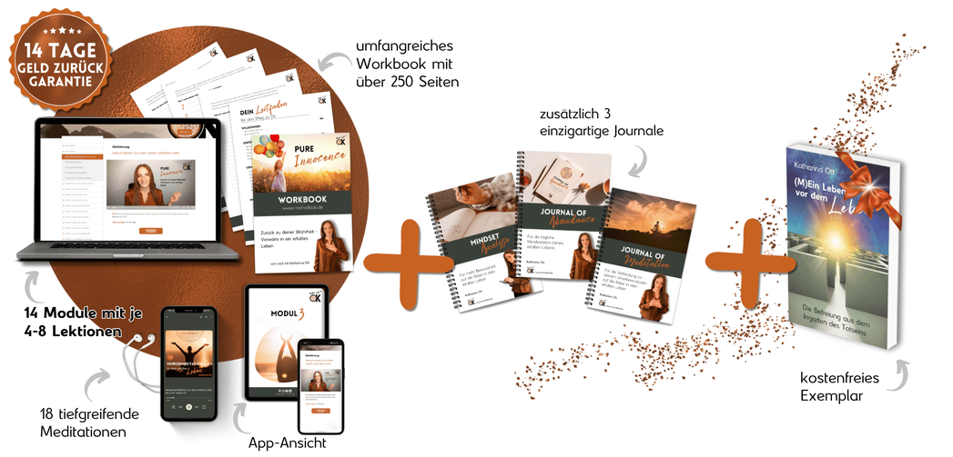 Online-Kurs-Deine Reise zum Buch-Von der Vision zur Publikation-Selbstverlag-Selfpublishing-Workbook-Meditation-Vorlagen-Produkt-Coach und Trainer Katharina Ott-Potenzial-Transformation-Mehr als OK-mehralsok-Blume des Lebens