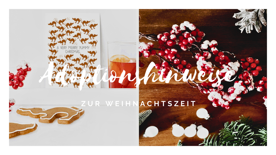 HUNNSBUCKL BY IWAZWERSCH - BRIEFKARTE "WEIHNAACHTSOMEND" - ADOPTIONSHINWEISE FÜR HUNNSBUCKL VOR WEIHNACHTEN 2019 - HUNNSBUCKL, HUNSRÜCK, HEIMAT, DESIGN  - DESIGN MADE IN GERMANY