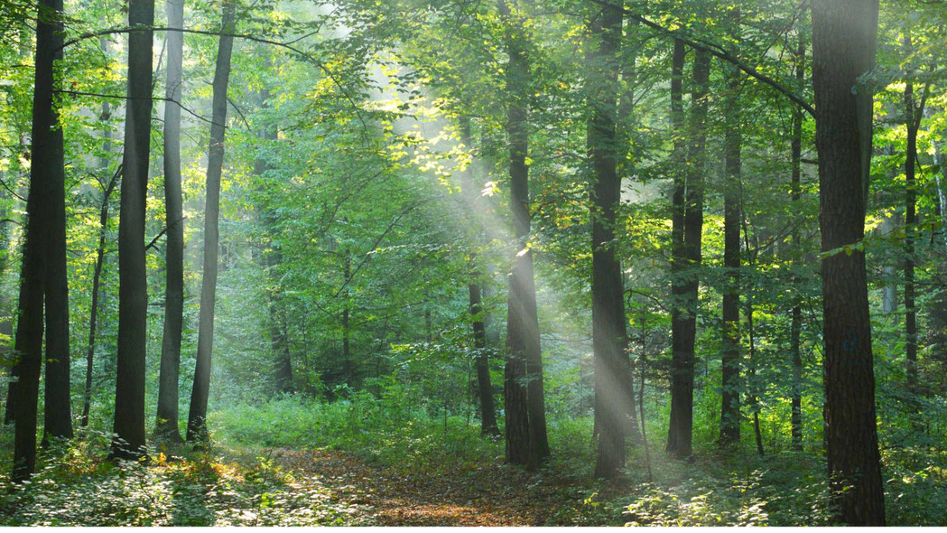 Retraite en Silence avec elisaabeth brosset en dordogne - via energetica, annuaire des therapeutes