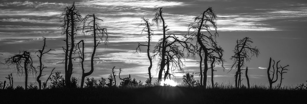 Naturfotografie # Landschaftsfotografie # Roland Valter # Fotograf # Aachen # rolva