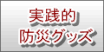 実践的地震防災
