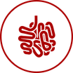 Gesundheitszentrum Dr. Tadzic & Co. | Innere Medizin / Gastroenterologie
