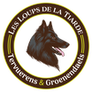 élevage bergers belges, Tervueren, Groenendael, chiots bergers belges, élevage familial, Nouvelle-Aquitaine, chiens actifs, agility chiens