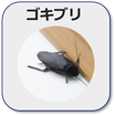 保育園のゴキブリ被害と駆除事例
