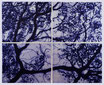 Gravure d'arbres indigo sur fond blanc, quadriptyque bleu, gravure arbres, gravure olivier, gravure noir et blanc, tableau arbres, matthieu astoux