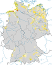Karte zur Verbreitung der Flussseeschwalbe (Sterna hirundo) in Deutschland