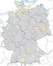 Karte zur Verbreitung der  Schwarzkopfmöwe (Ichthyaetus melanocephalus) in Deutschland