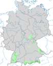 Karte zur Verbreitung des Fasans (Phasianus colchicus) in Deutschland