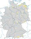 Karte zur Verbreitung des Karmingimpels in Deutschland