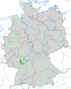 Karte zur Verbreitung der Schwanengans (Anser cygnoides) in Deutschland