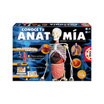 CONOCE TU ANATOMIA