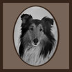 Tierbild / schwarz - weiß - sw / oval ! 11 x 15 cm / Bestellnummer_2_TB_O_110150