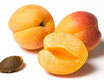 Aprikosenkernöl BIO