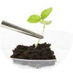 Soil DNA Purification Mini