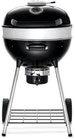 PRO22 Holzkohle                     Kugelgrill