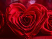 Herz Booster
