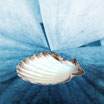 Räuchergefäß Jakobsmuschel (Pectinidae)