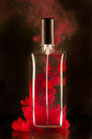 HMP Love Binding 30 ml