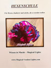 Hexenschule Das Booklet von Magical Lights